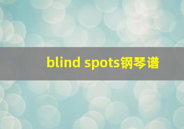 blind spots钢琴谱